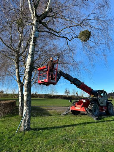 Hundesportverein Sexau e.V. Helfer Gartenarbeiten