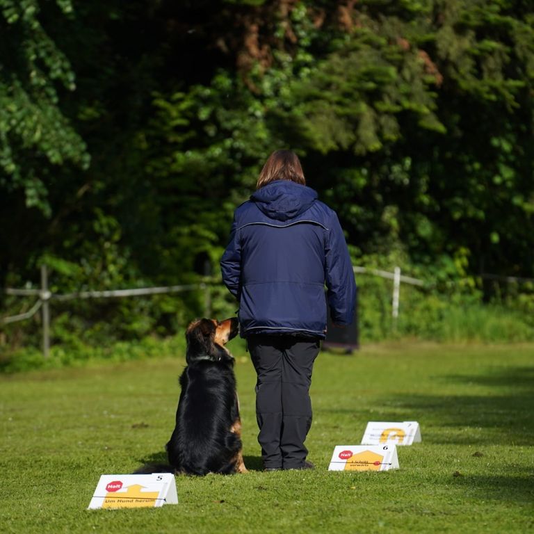 Ralley Obedience beim Hundesportverein Sexau e.V.