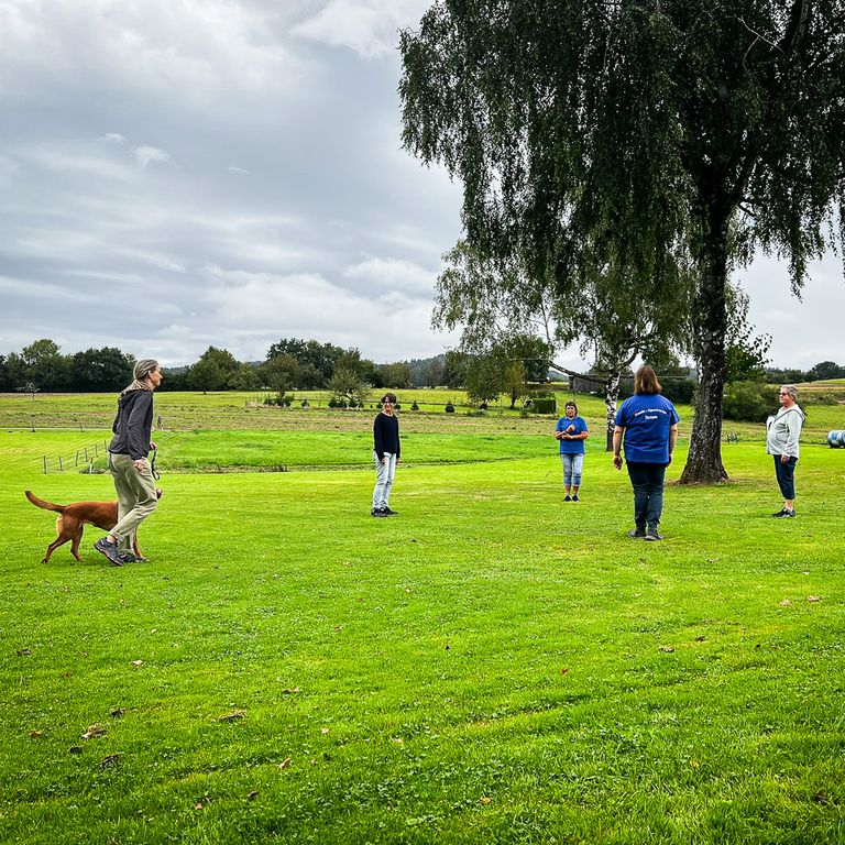 Begleithundeprüfung beim Hundesportverein Sexau e.V.