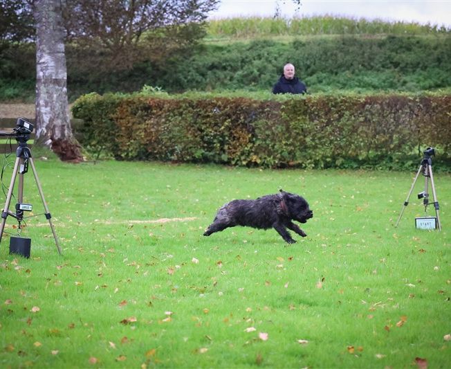 Ferienspielaktion für Kinder Hundesportverein Sexau e.V.