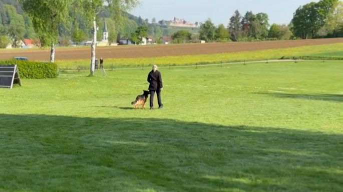 Frühjahrsprüfung beim Hundesportverein Sexau