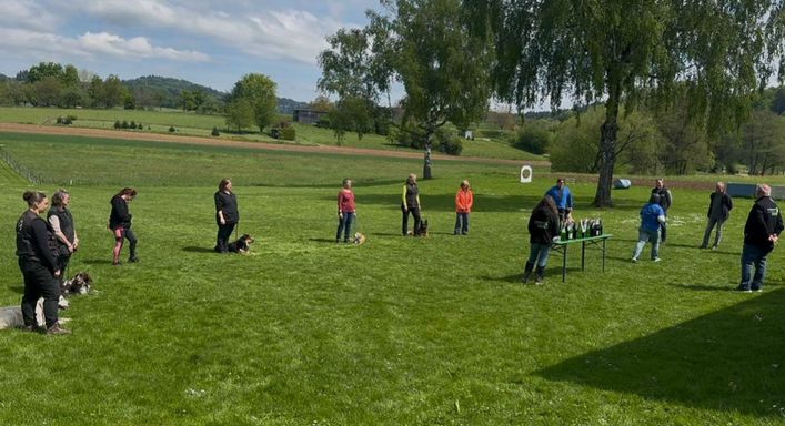 Frühjahrsprüfung beim Hundesportverein Sexau