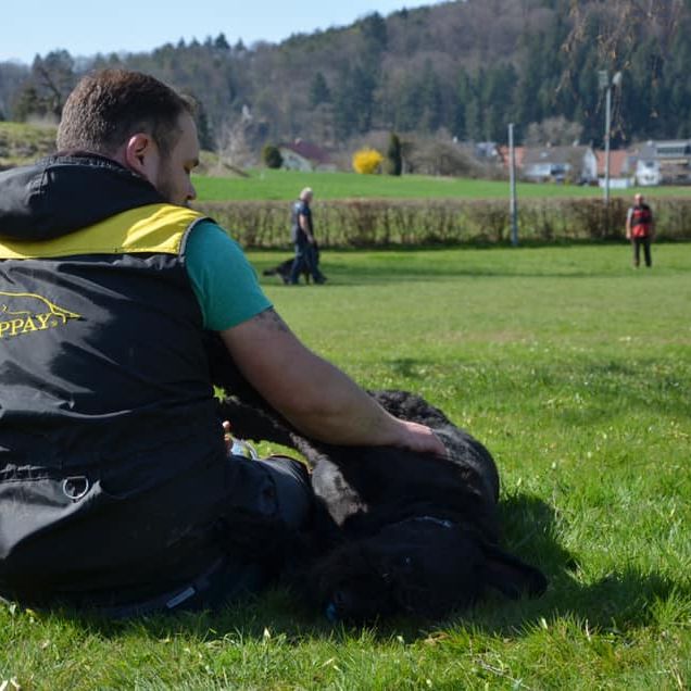 Fährtensuche mit Hund beim Hundesportverein Sexau e.V.